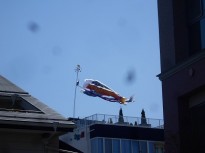 img_kids_sotoasobi01 img_kids_sotoasobi01
