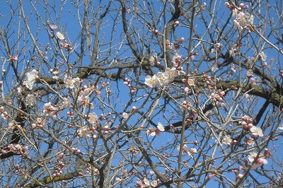 0314ume2