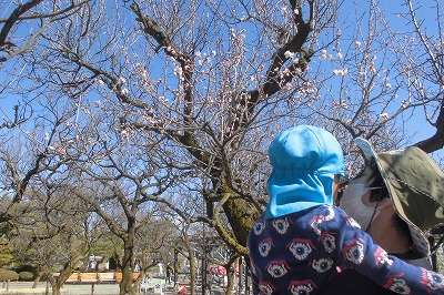 0314ume3