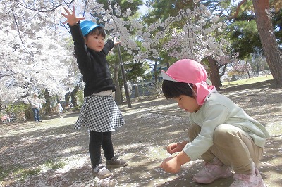 0412hanami11 0412hanami11