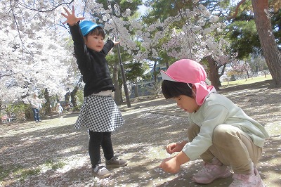 0412hanami11