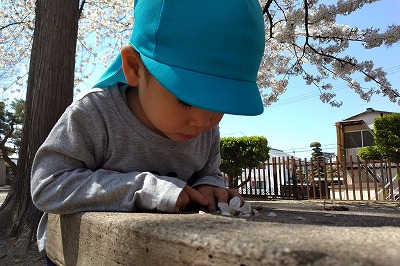 0412hanami14 0412hanami14