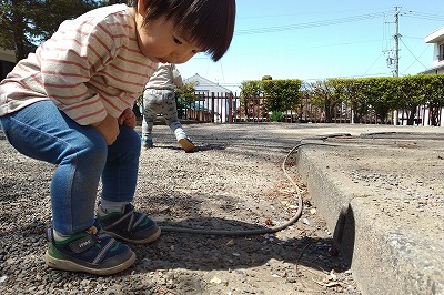 0412hanami17 0412hanami17