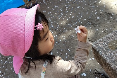 0412hanami18 0412hanami18