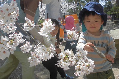 0412hanami23