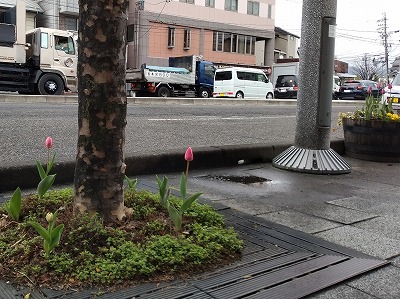 0415flower8