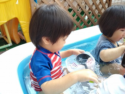 0803pool4 0803pool41