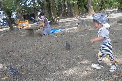 0907kokage5
