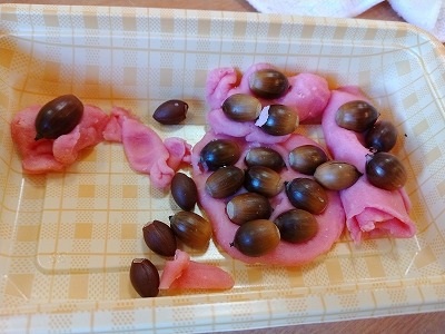 0f1c7f3158e1357b1496faf3980db36c