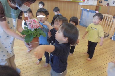 8はな11 113d5b2701569de57b3644c7f1bee2ca