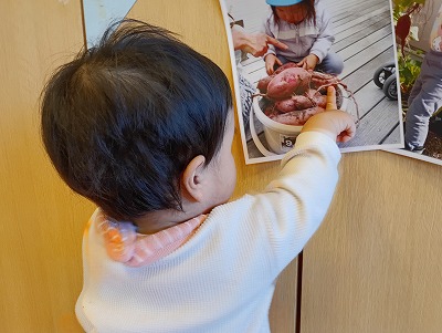 1d819da233da1c8a09782223fad2374f1