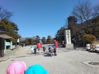 松の1 250be75197ddae0324d2651a935bf588