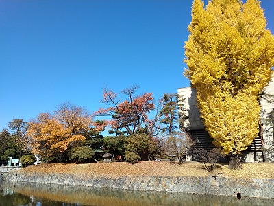 お堀7 2683b6a0afddc5f729c1044bd1014621