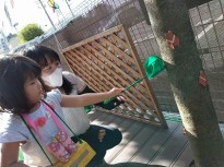 てらす1 3d303dd929c8dbce61703a3cad3d4af9