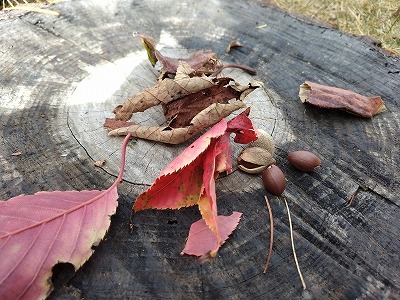 525de51c18c61d23ad15f3c6323b014e1