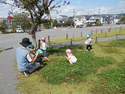 16西1 5453488d5a475285e727908f5072f83d