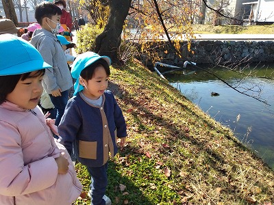 かも4 5d71d9461926be5c3379de0ae72f83031