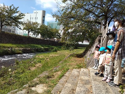 かわ2 73a6fd6b61b0b64cc832c79900c34f11