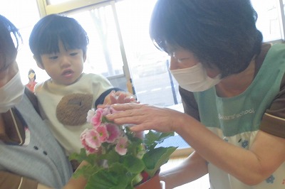 8はな12 73e9a8b2454166be2d1bd600cf88d095