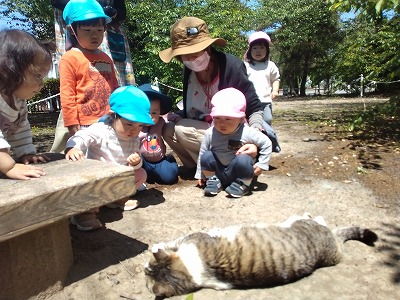 ねこ7 9078e8cbe5bc638c7b5cc85dbd671087