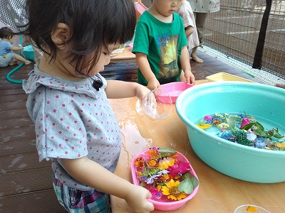 花と11 9b943ae75aee9996fd8af66180508360