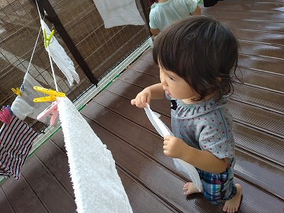 ほす17 9c4850ee9cbf644ca25334ba1f629449