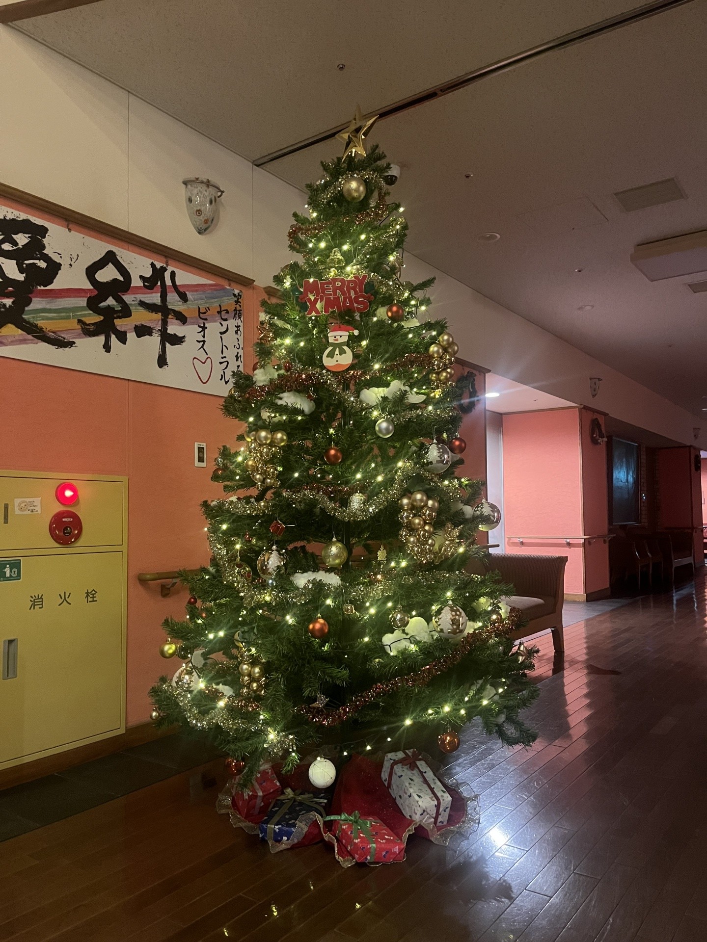 IMG_7185-e1766479314204