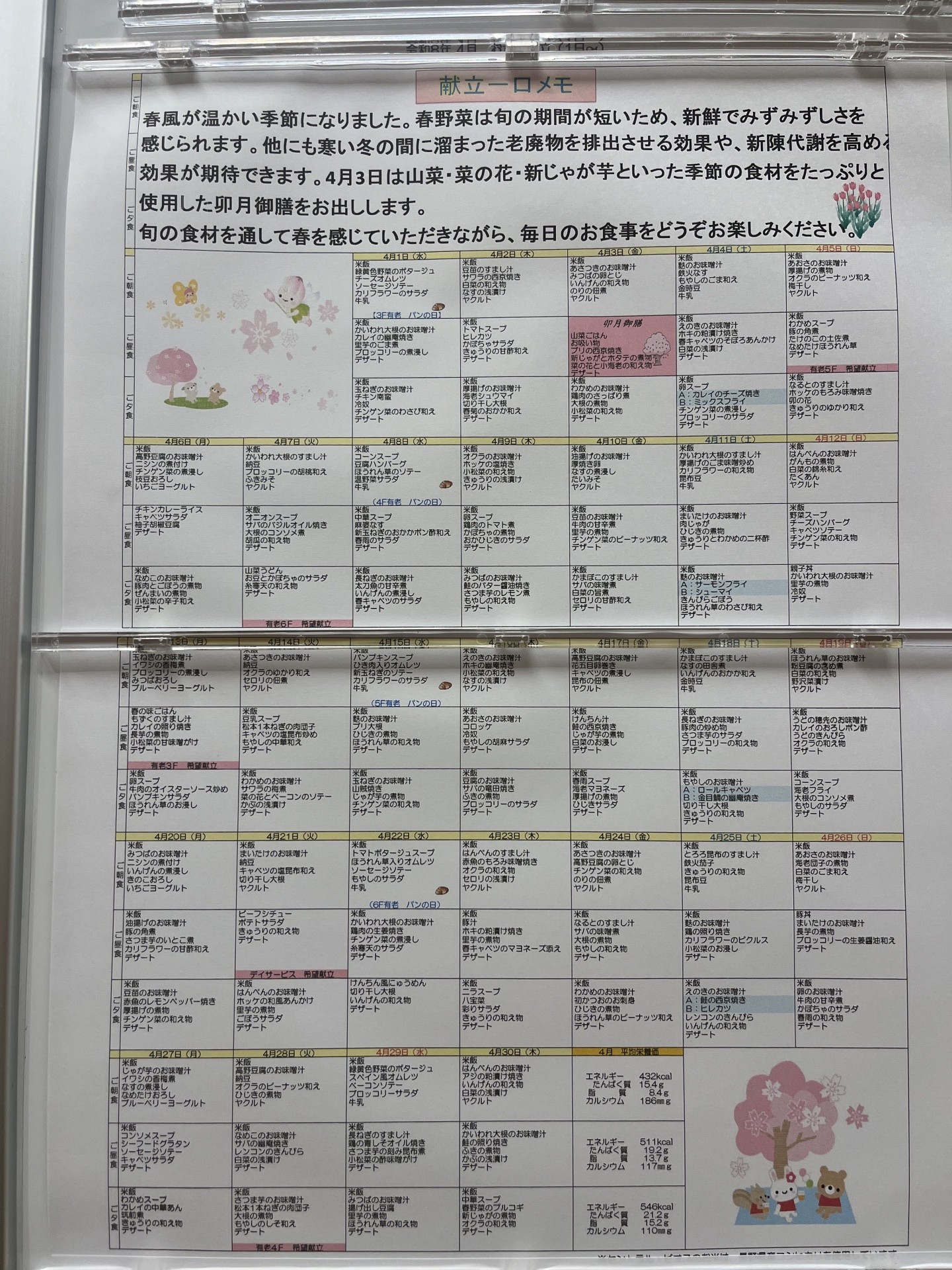 IMG_9678 IMG_9678-e1774950330893