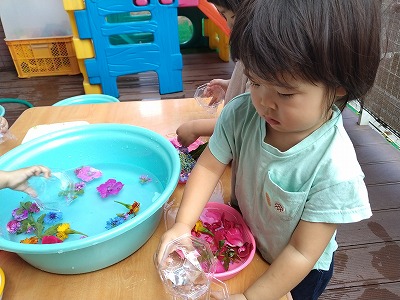 花と1 a2783a87d584738383c25ad9fdcfa91f