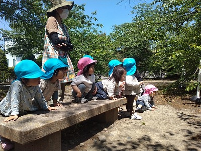 ねこ8 a2c6527abddfe499753e8abec83269d3