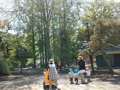 こかげ7 a4b446036dbec90a5c2473f6d86065a4