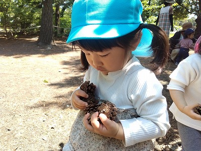 まつぼっくり5 a59b7456f5317d70cff617fb2bcf5ef6