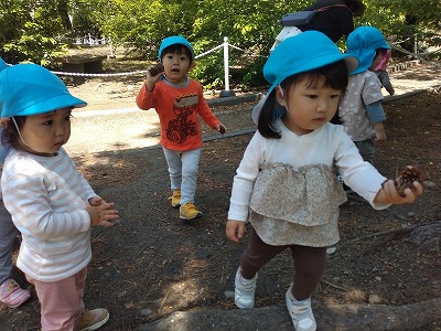 まつぼっくり2 af2f526cde27aef02a69fe8de0823a68
