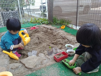 ごはん1 babad1560a936106cdc13978828b8b02