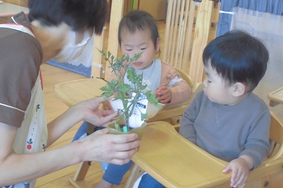 baby4 baby4