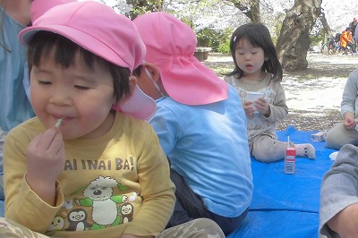 c0412hanami5 c0412hanami5
