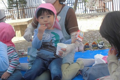c0412hanami6 c0412hanami6