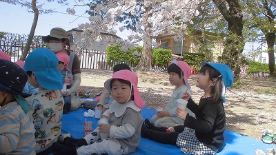 c0412hanami7w c0412hanami7w