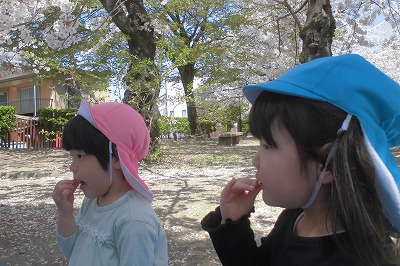 c0412hanami8