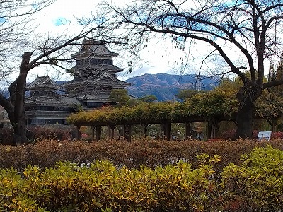 cab71d671ff405297d287c39d6f4d08a2