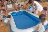 プール1 cc9d8a901c0dec057ca7fa9c785ec0b01