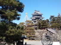 まつ1 df1f9405d800788a2d64da92eb6356242