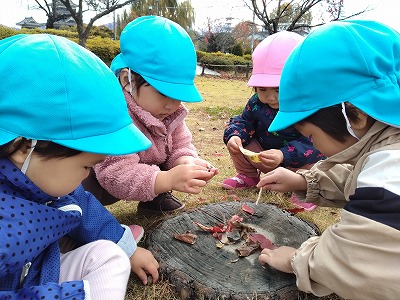 ecd62c56e9d8a0ab19ad9ca291678693