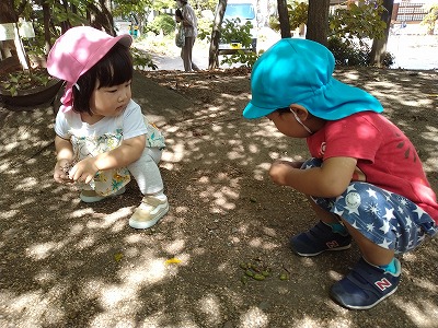 こかげ4 ed1c3f73aef86635ee2e5326354a0c1c1