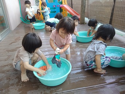 せんたく6 f1047b86039c7969a4d1c734c002b052