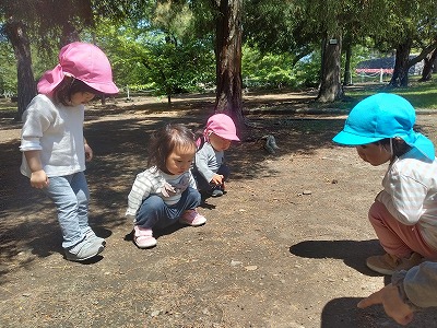 あり2 f313f7cb510153f42d7c22832d612da51