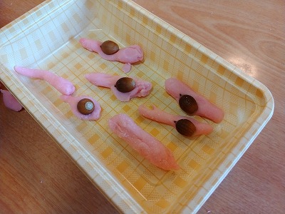 fc87c35568c3e94a42faa671da30bc551