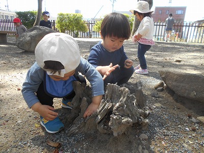 img_kids_poppo013 img_kids_poppo013