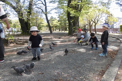 img_kids_poppo017 img_kids_poppo017