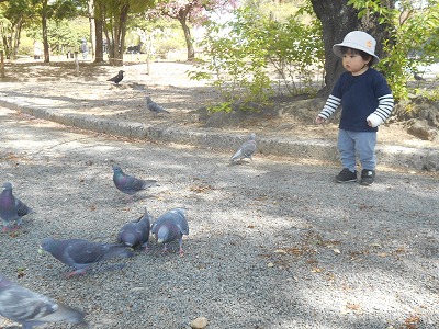 img_kids_poppo020pg img_kids_poppo020pg